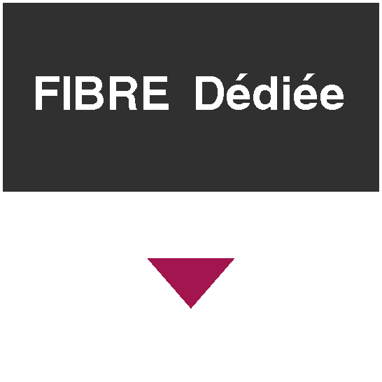 fibre d