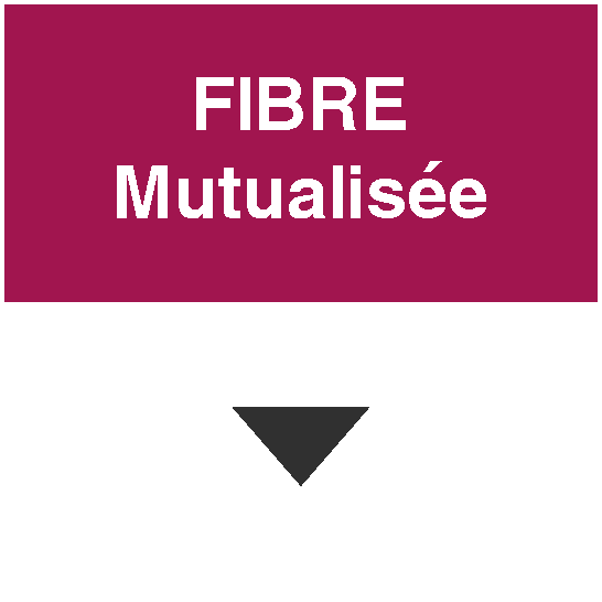 fibre m