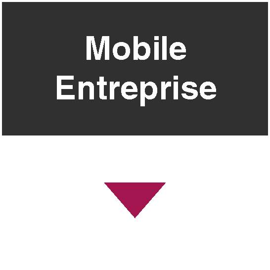 mobile entreprise