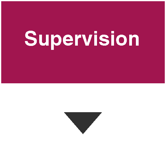 supervision