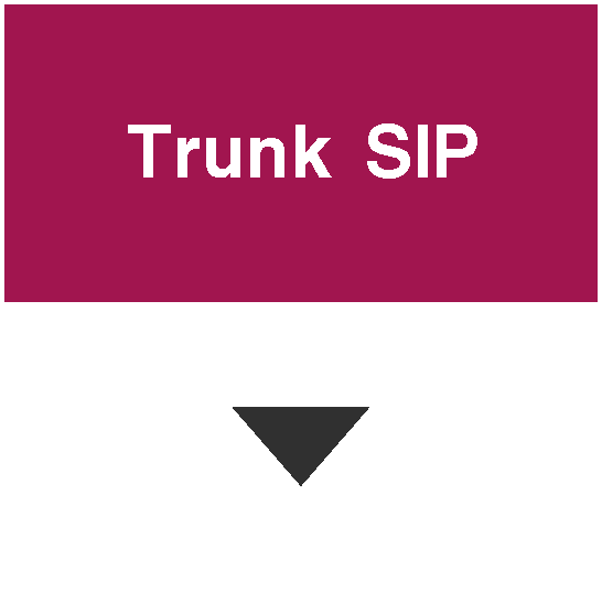 trunk sip